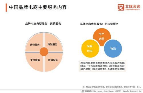 2023年中國品牌電商服務(wù)行業(yè)研究報(bào)告 信息咨詢服務(wù)引領(lǐng)新增長